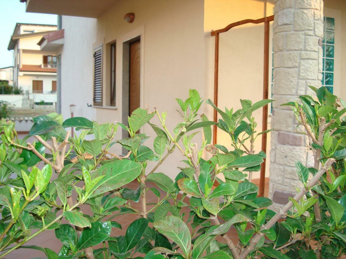 Guest House Mare E Luna Fiumefreddo Bruzio Exteriör bild